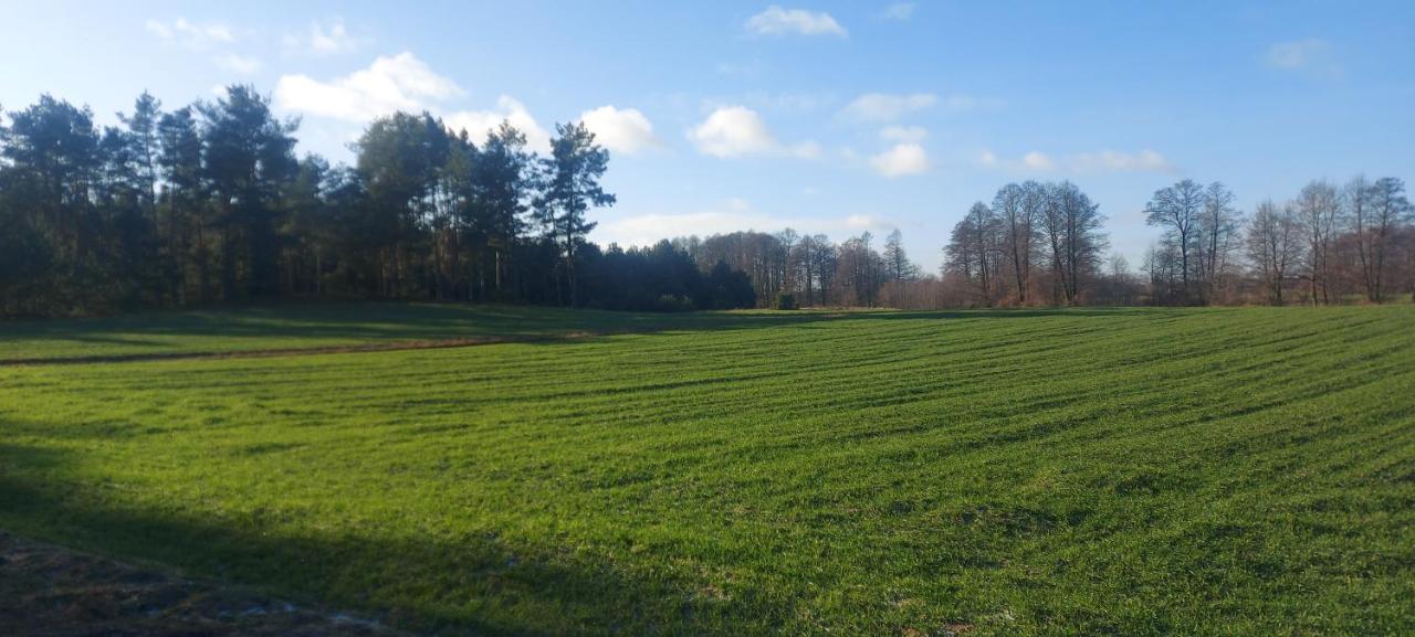 Ferienhaus Do Wynajecia - Siedlisko Przy Lesie *