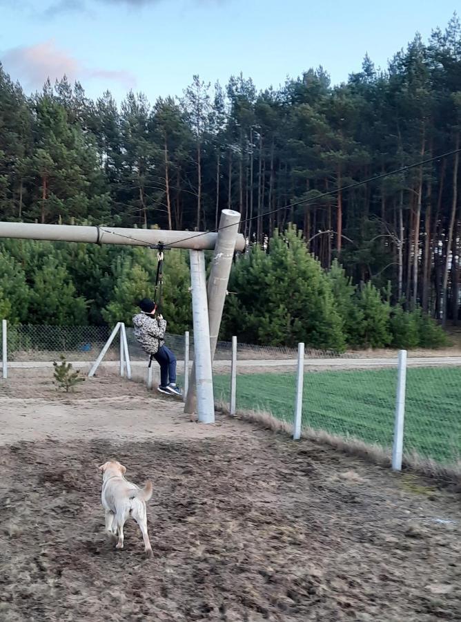 Do Wynajecia - Siedlisko Przy Lesie